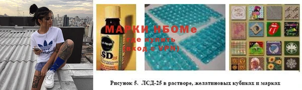кокс Инсар