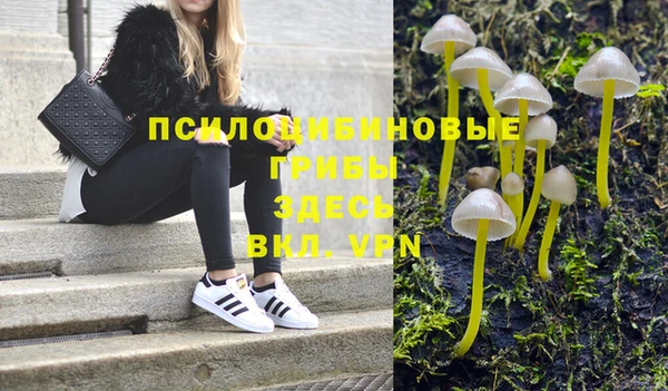 трава Иннополис