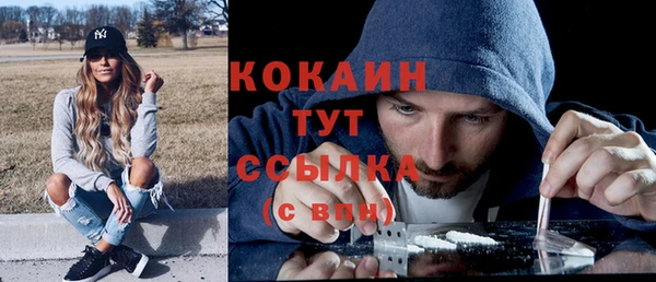кокс Инсар