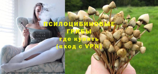 трава Иннополис