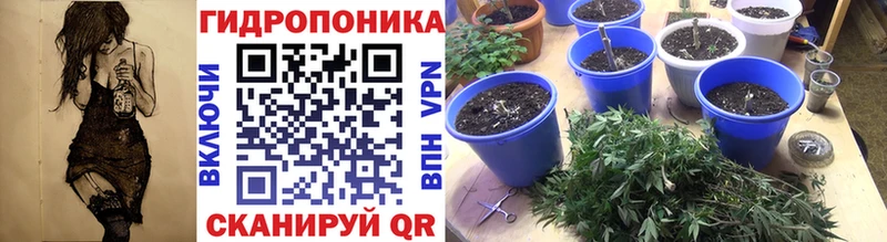 Шишки марихуана планчик  Купить где  Туапсе 